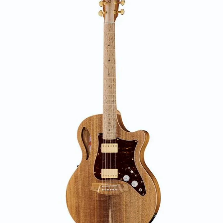 Recensione e Test Chitarra Cole Clark TL2EC-BLBL-HH Thin Line