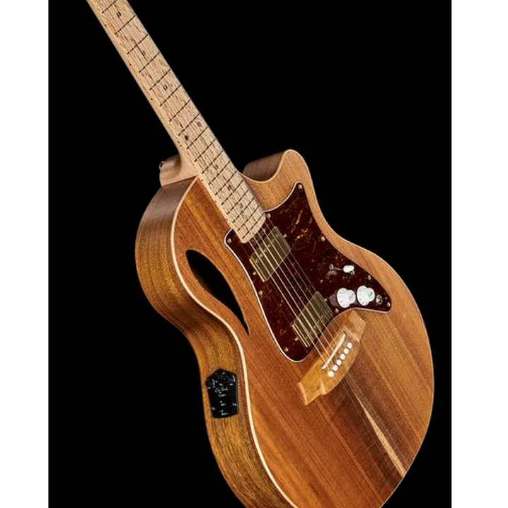 Recensione e Test Chitarra Cole Clark TL2EC-BLBL-HH Thin Line