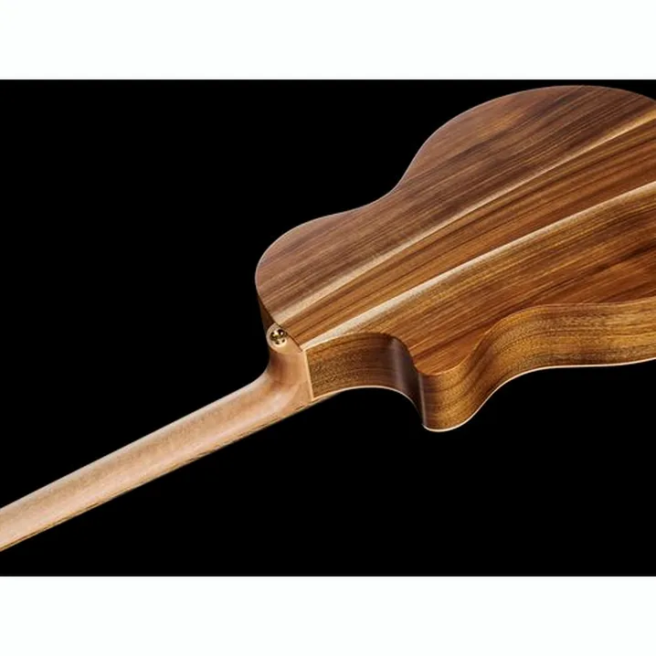 Recensione e Test Chitarra Cole Clark TL2EC-BLBL-HH Thin Line