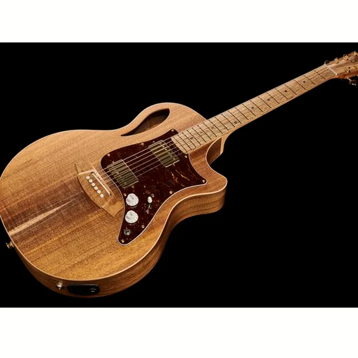 Recensione e Test Chitarra Cole Clark TL2EC-BLBL-HH Thin Line