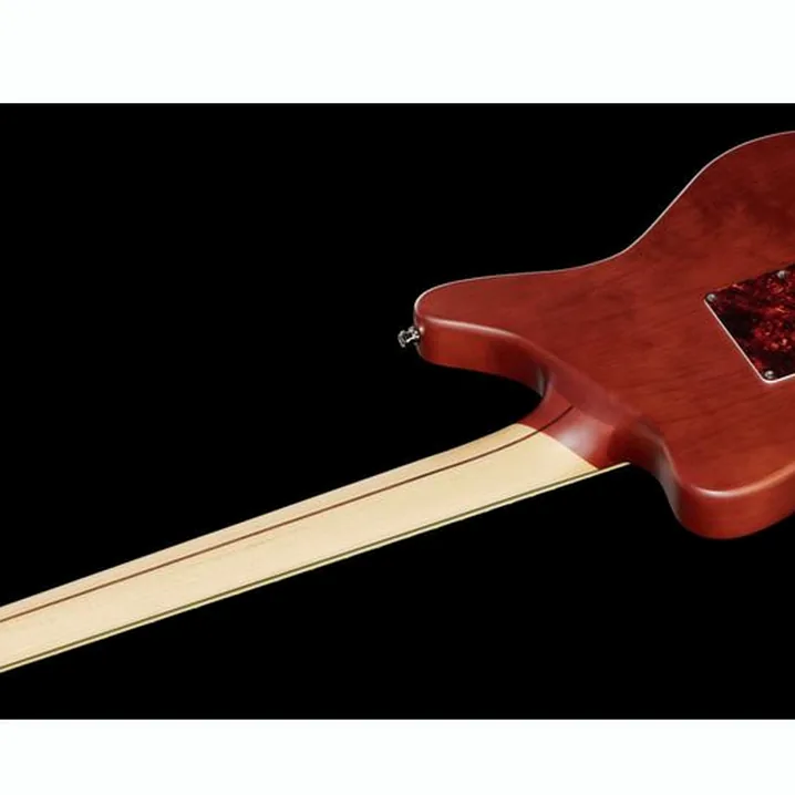 Recensione e Test Chitarra Elettrica DAngelico Deluxe Bedford SH Matte Walnut