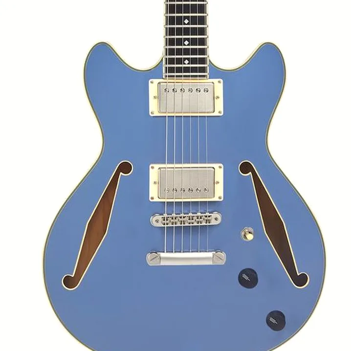 Recensione e Test Chitarra Elettrica DAngelico Excel Mini DC Tour Slate Blue