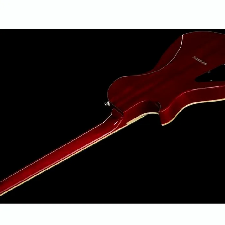 Recensione e Test Chitarra Elettrica Epiphone Nancy Wilson Fanatic Fireburst