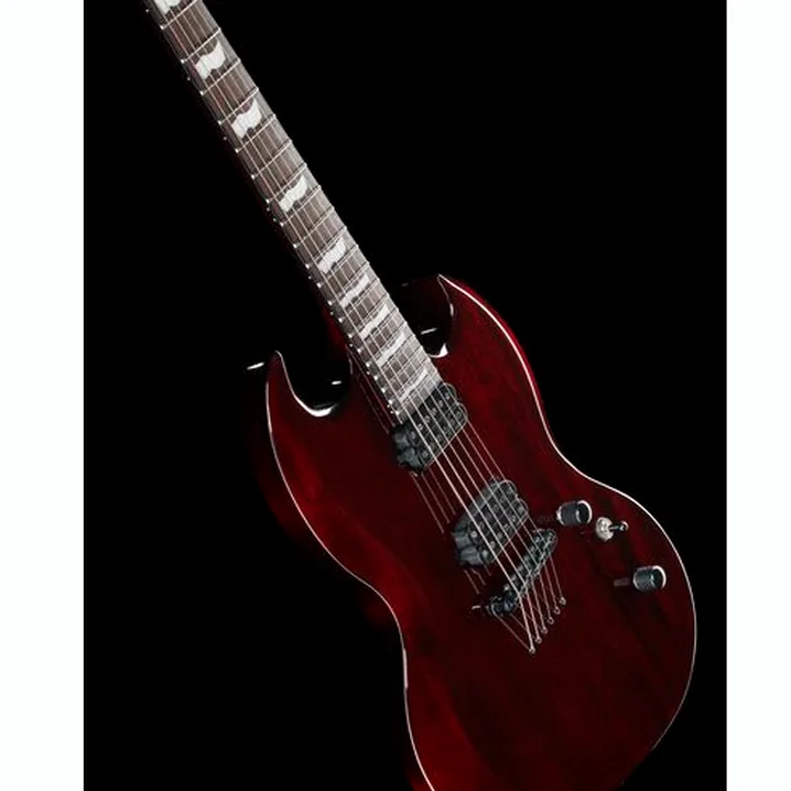 Recensione e Test Chitarra Elettrica ESP LTD Viper-1000 Black Cherry