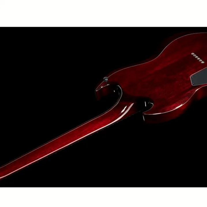 Recensione e Test Chitarra Elettrica ESP LTD Viper-1000 Black Cherry