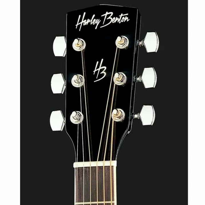 Recensione e Test Chitarra Elettrica Harley Benton D-120LH BK