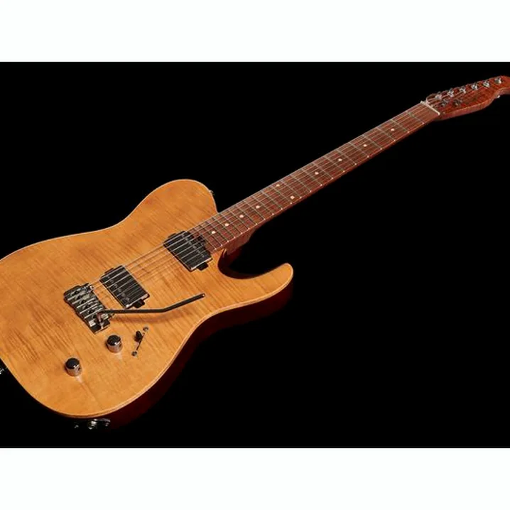 Recensione e Test Chitarra Elettrica Harley Benton Fusion-T HH Roasted FNT w/Case