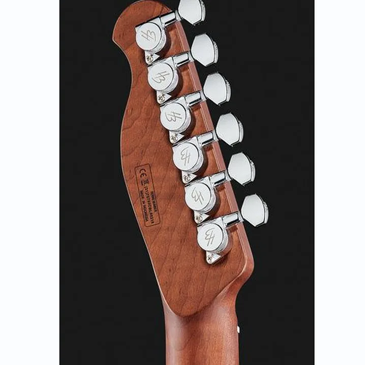 Recensione e Test Chitarra Elettrica Harley Benton Fusion-T HH Roasted FNT w/Case