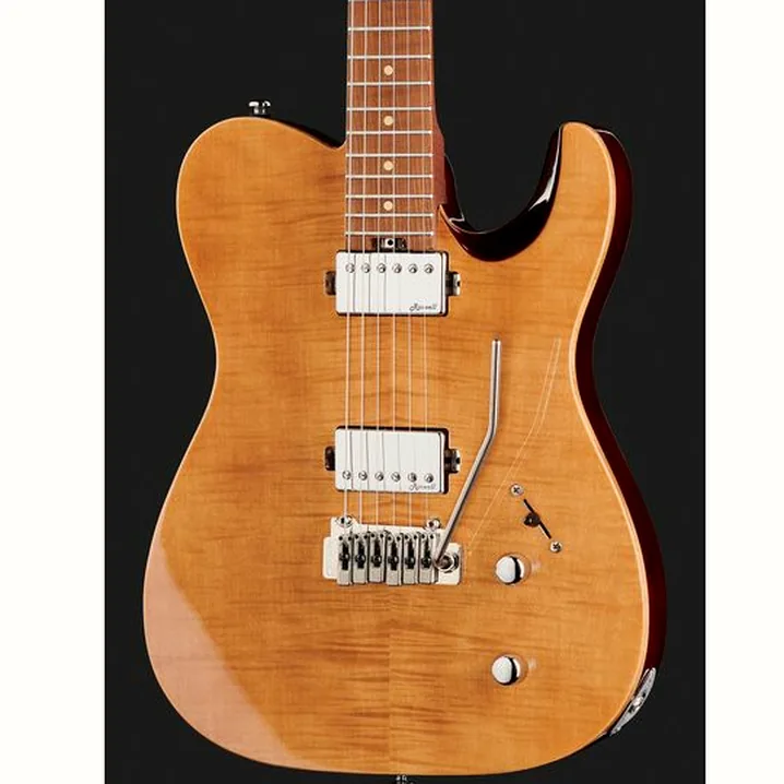 Recensione e Test Chitarra Elettrica Harley Benton Fusion-T HH Roasted FNT w/Case