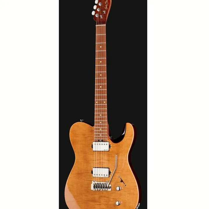 Recensione e Test Chitarra Elettrica Harley Benton Fusion-T HH Roasted FNT w/Case