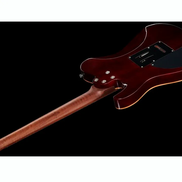 Recensione e Test Chitarra Elettrica Harley Benton Fusion-T HH Roasted FNT w/Case