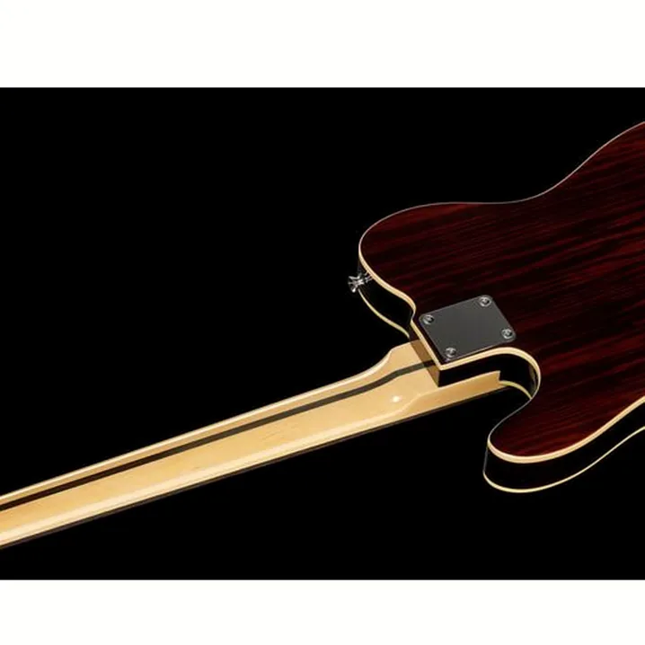 Recensione e Test Chitarra Elettrica Harley Benton TE-70RW Deluxe Series
