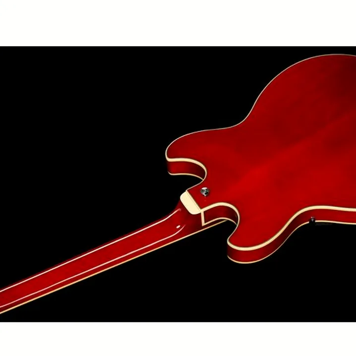 Recensione e Test Chitarra Elettrica Ibanez AS73-TCD