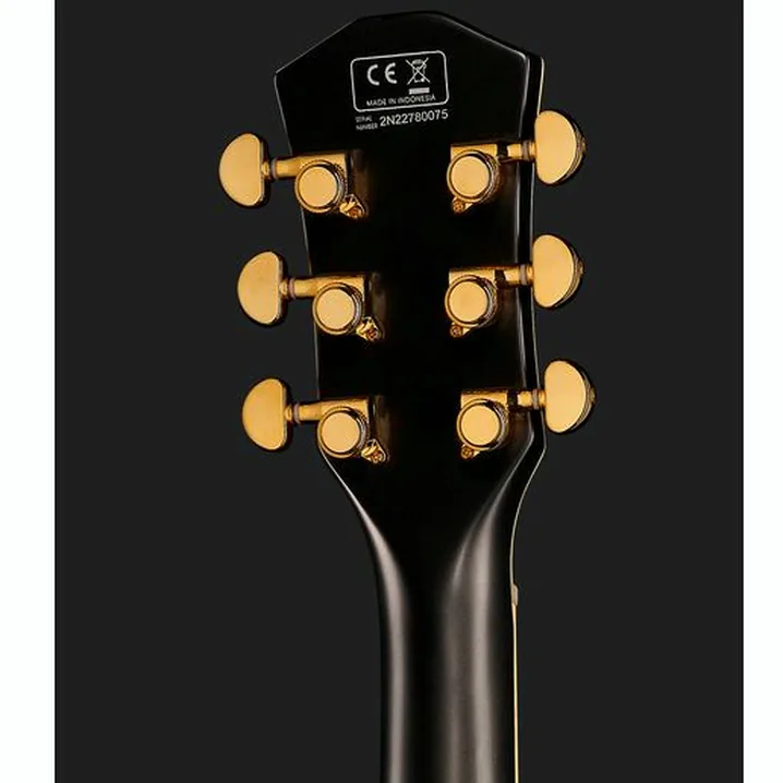 Recensione e Test Chitarra Elettrica Larry Carlton L7V BK