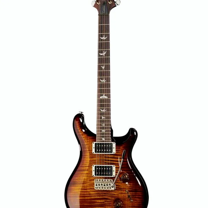 Recensione e Test Chitarra Elettrica PRS Custom 24 BW