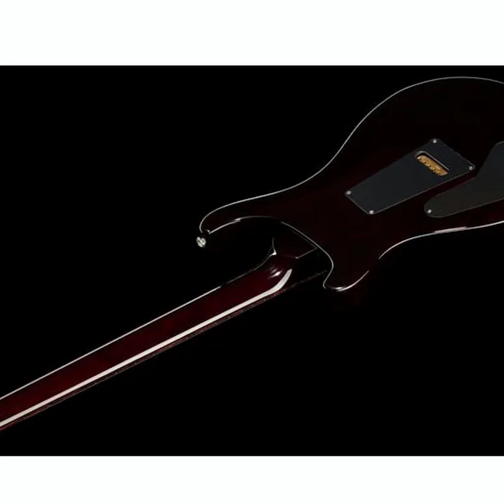 Recensione e Test Chitarra Elettrica PRS Custom 24 BW
