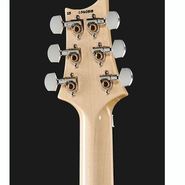 Recensione e Test Chitarra Elettrica PRS Custom 24 Floyd CH