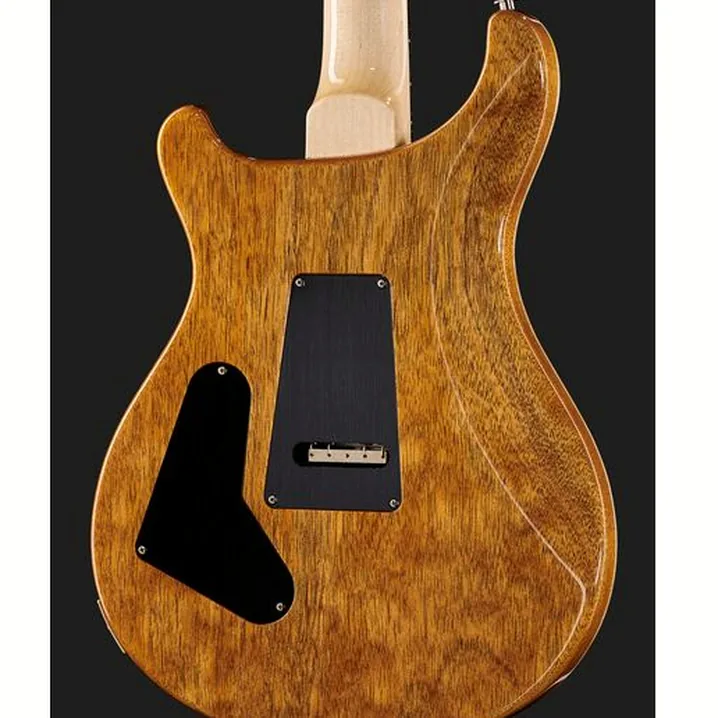 Recensione e Test Chitarra Elettrica PRS Custom 24 Floyd CH