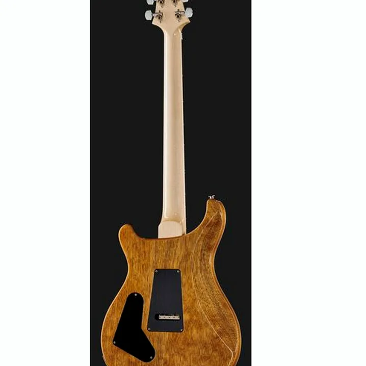 Recensione e Test Chitarra Elettrica PRS Custom 24 Floyd CH