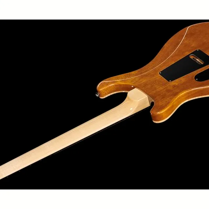 Recensione e Test Chitarra Elettrica PRS Custom 24 Floyd CH