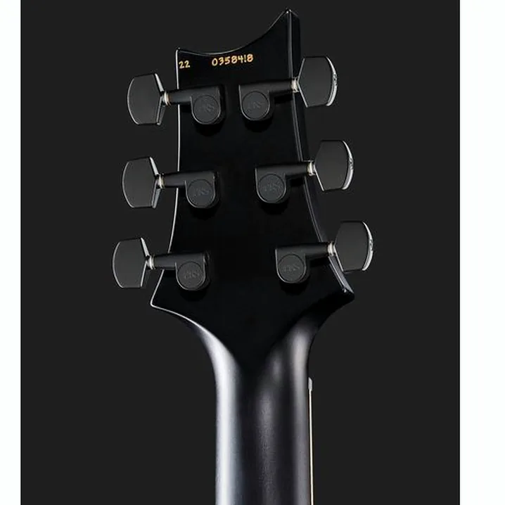 Recensione e Test Chitarra Elettrica PRS PRS CE 24 Dustie W. HT CC BT