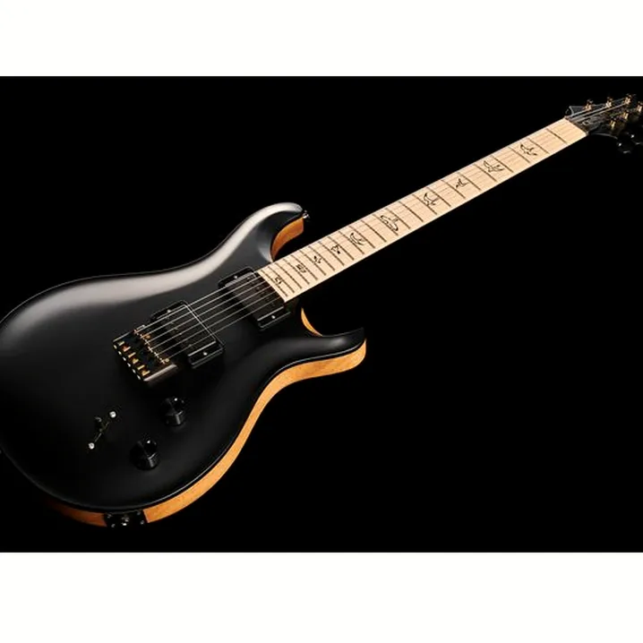 Recensione e Test Chitarra Elettrica PRS PRS CE 24 Dustie W. HT CC BT