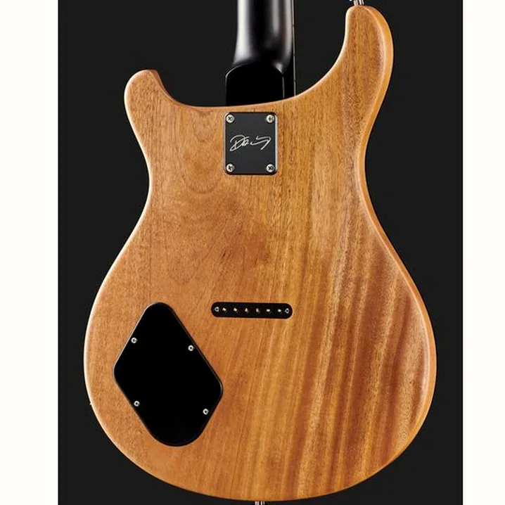 Recensione e Test Chitarra Elettrica PRS PRS CE 24 Dustie W. HT CC BT