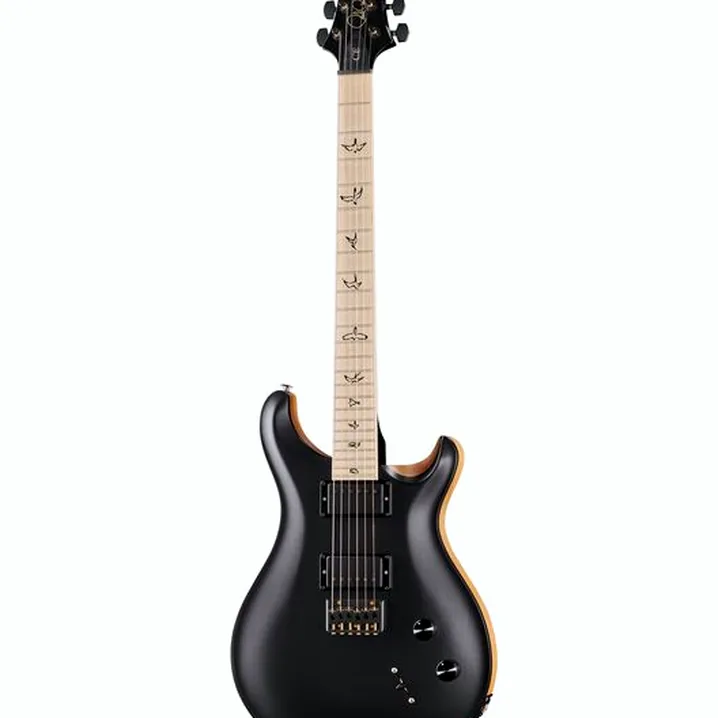 Recensione e Test Chitarra Elettrica PRS PRS CE 24 Dustie W. HT CC BT