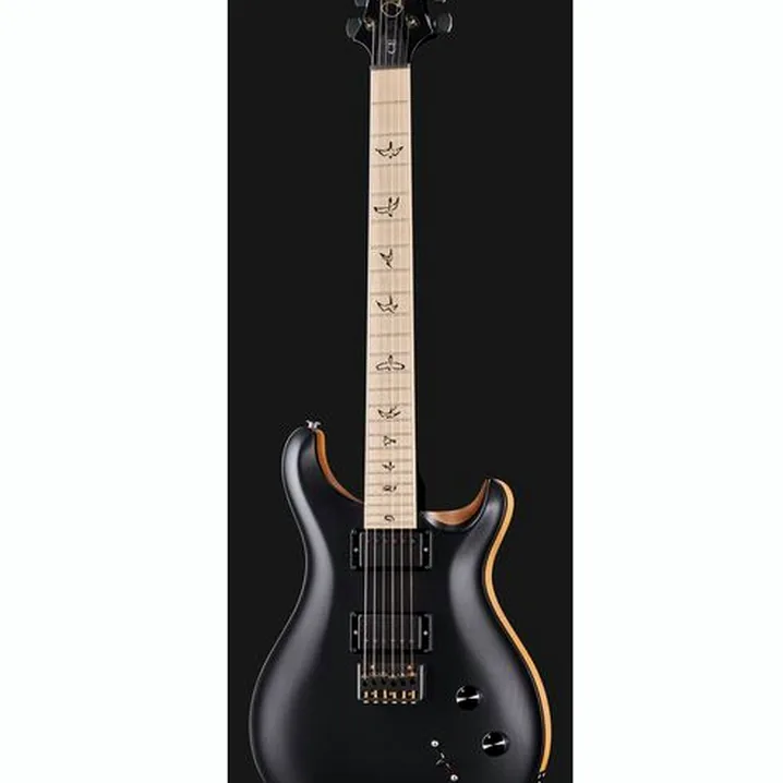 Recensione e Test Chitarra Elettrica PRS PRS CE 24 Dustie W. HT CC BT