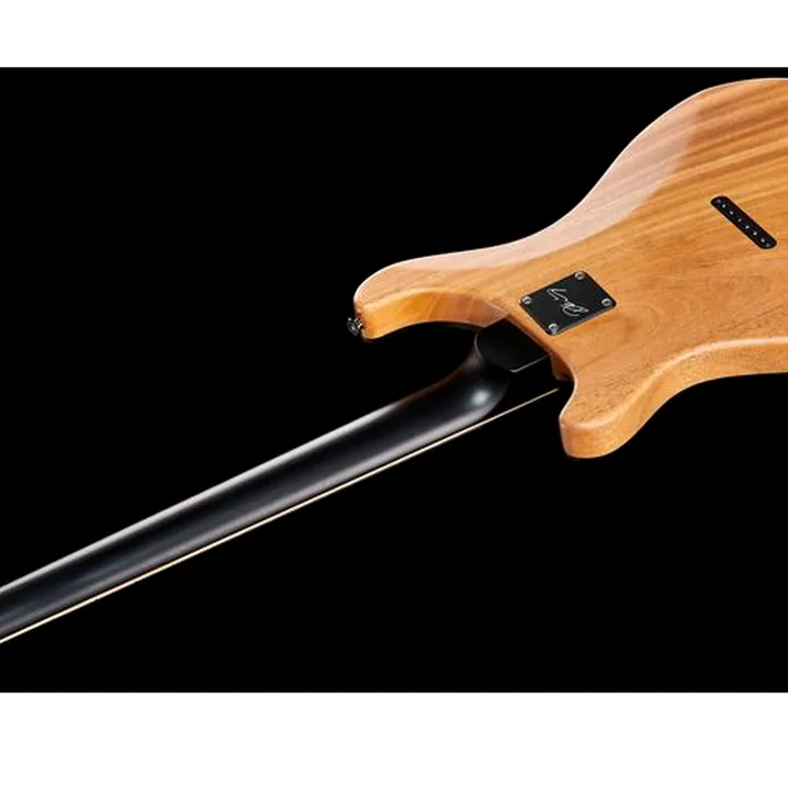 Recensione e Test Chitarra Elettrica PRS PRS CE 24 Dustie W. HT CC BT