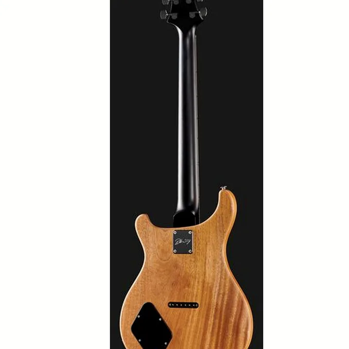 Recensione e Test Chitarra Elettrica PRS PRS CE 24 Dustie W. HT CC BT