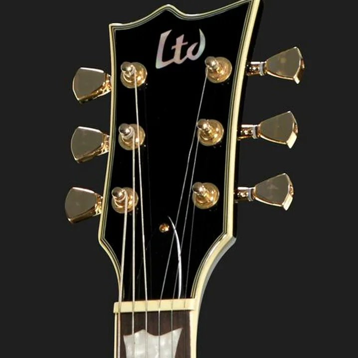 Recensione e Test Chitarra ESP LTD EC-256 BLK