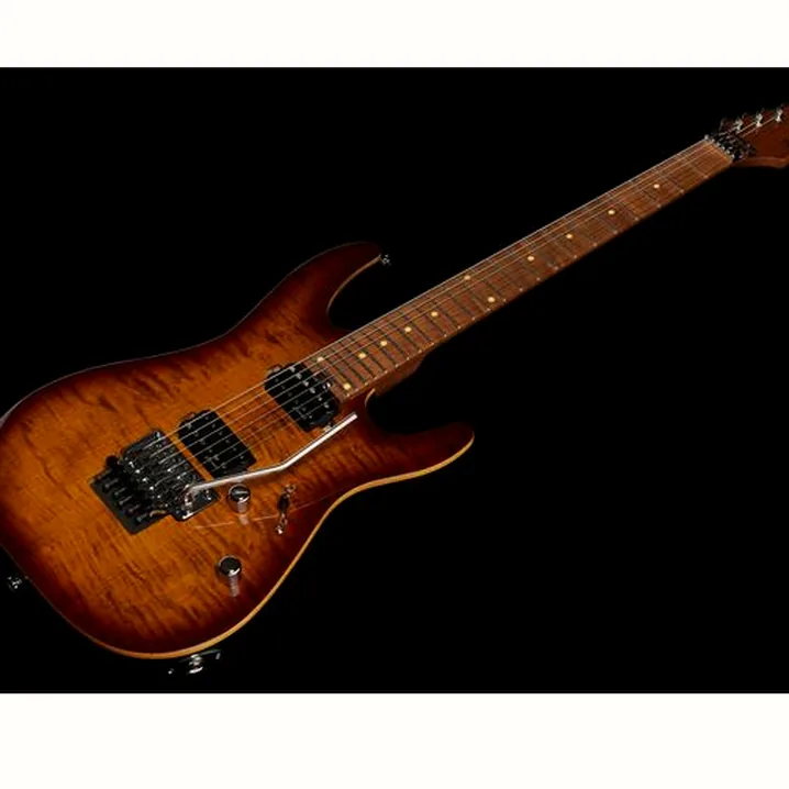 Recensione e Test Chitarra Harley Benton Fusion-III HH FR Roasted FBB