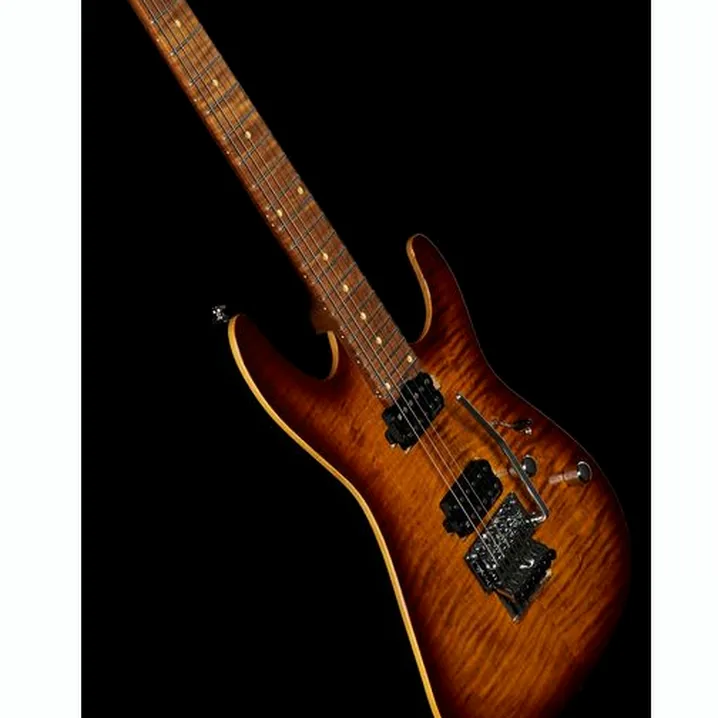 Recensione e Test Chitarra Harley Benton Fusion-III HH FR Roasted FBB