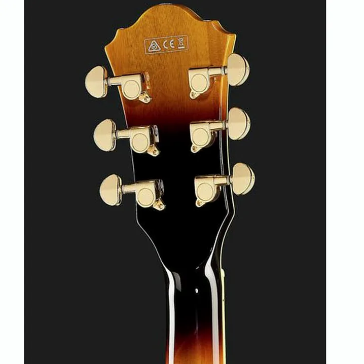 Recensione e Test Chitarra Ibanez AF95FM-AYS