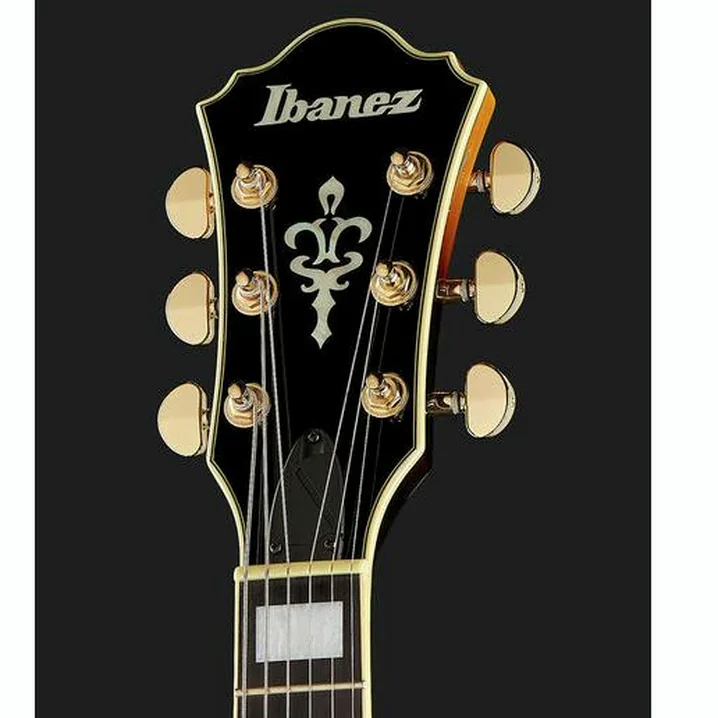 Recensione e Test Chitarra Ibanez AF95FM-AYS