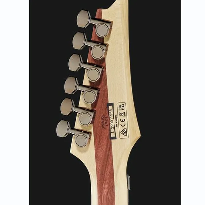 Recensione e Test Chitarra Ibanez JIVA10L-DSB