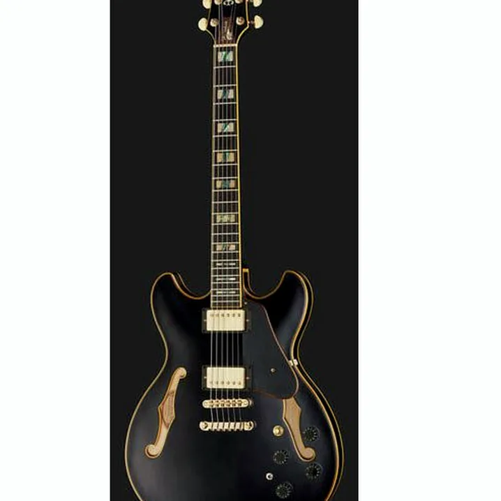 Recensione e Test Chitarra Ibanez JSM20-BKL
