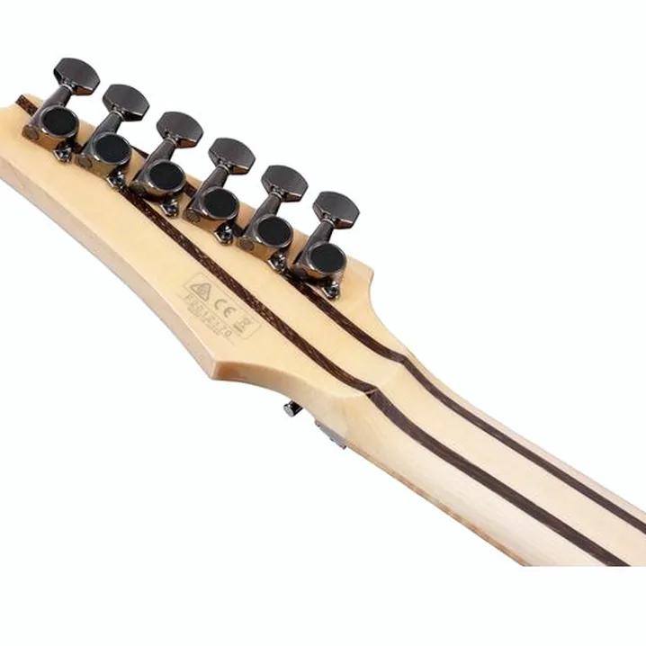 Recensione e Test Chitarra Ibanez RG8570-RBS