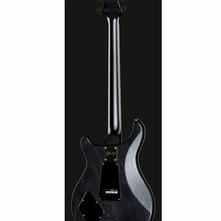 Recensione e Test Chitarra PRS CE 24 Dustie Waring Floyd GB