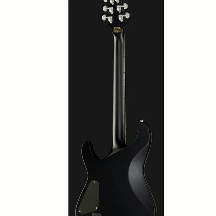 Recensione e Test Chitarra Schecter Damien Platinum 6 SBK