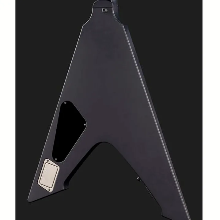 Recensione e Test della chitarra elettrica ESP Vulture BKS Hetfield