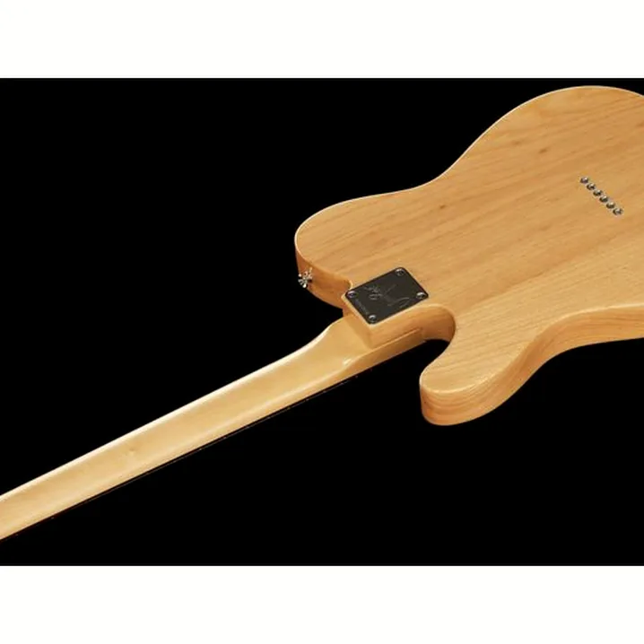 Recensione e Test della chitarra elettrica Fender Jimmy Page Telecaster RW NAT