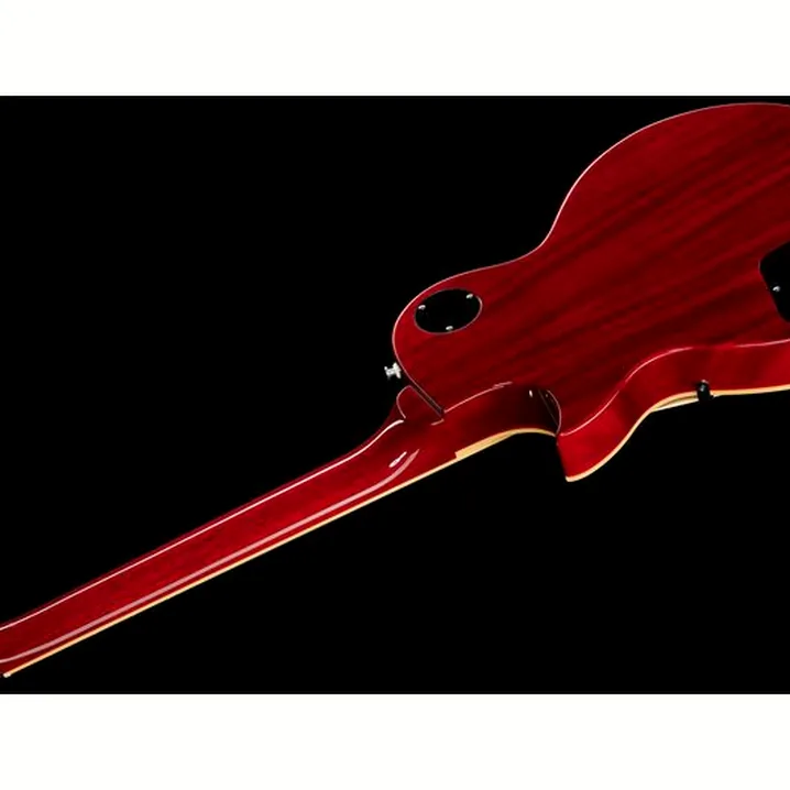 Recensione e Test della chitarra elettrica FGN Neo Classic NLS10RFM FCB