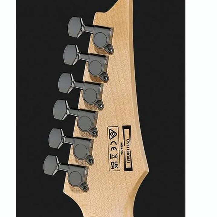 Recensione e Test della chitarra Ibanez GRGR221PA-AQB