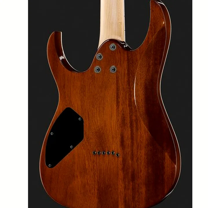 Recensione e Test della chitarra Ibanez GRGR221PA-AQB