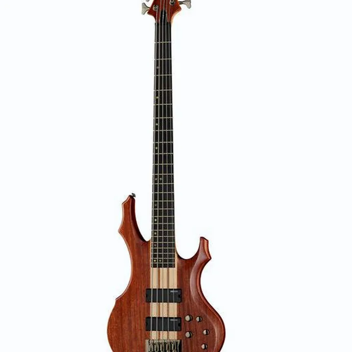 Recensione e Test: ESP LTD F-5E NS