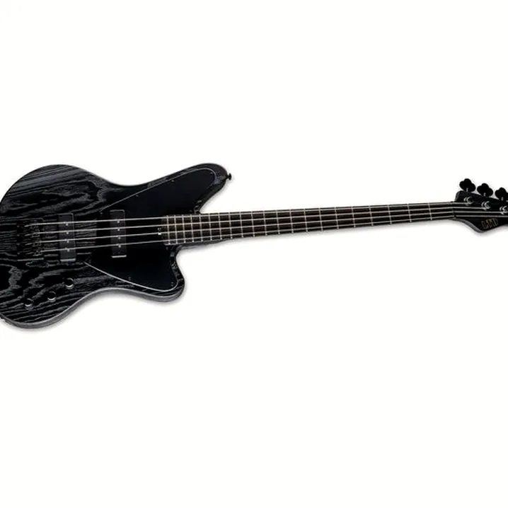 Recensione e Test ESP LTD Orion 4 Signature BL