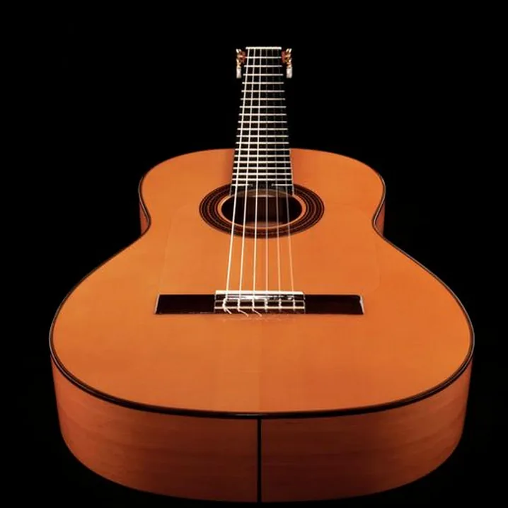 Recensione e Test Felipe Conde FP-14 Flamenco Estudio