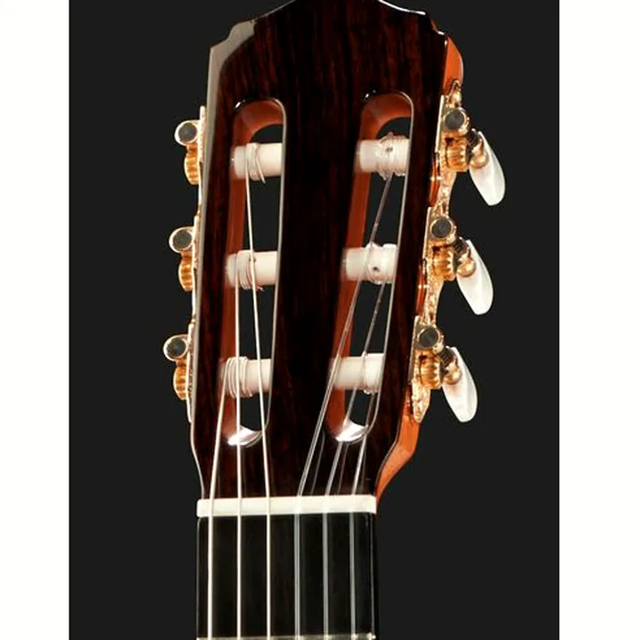 Recensione e Test Felipe Conde FP-14 Flamenco Estudio